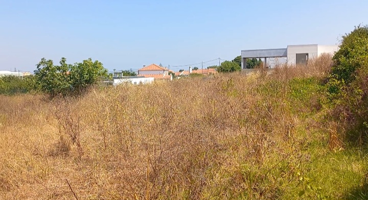 Terreno em Zambujal, Castelo Sesimbra
