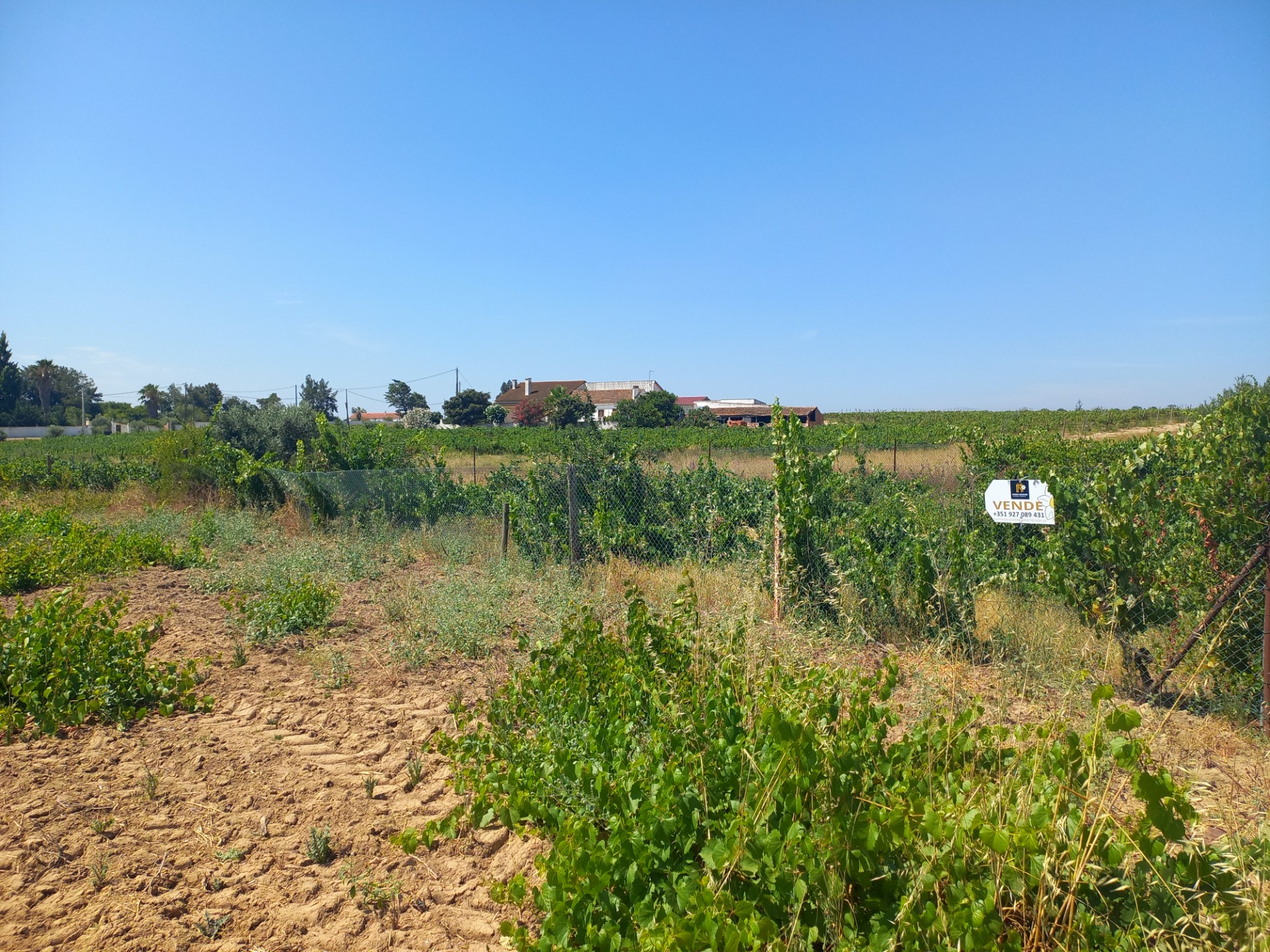 Terreno Agrícola Palmela